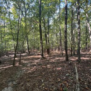 13_photo--gallup-road