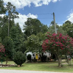 83174A77-0C48-4B6F-B63E-E4BE75216459