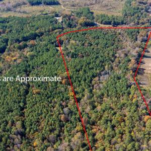 2-web-or-mls-0-nc-39