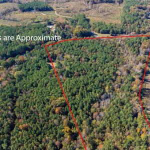 3-web-or-mls-0-nc-39