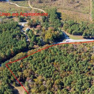 7-web-or-mls-0-nc-39