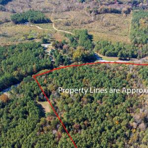 5-web-or-mls-0-nc-39