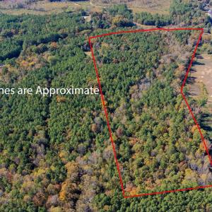 1-web-or-mls-0-nc-39