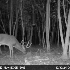 MEc399374c94740e767f82675f8d3d8138