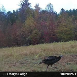 ME390d4a2bb0d1051c888f867934282be2