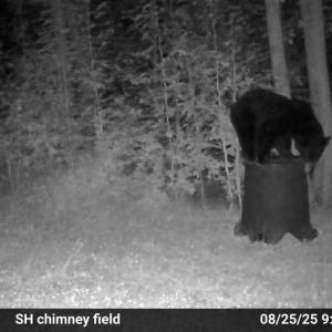 MEab1f9c8cd31de065fe4db4addbb461b2