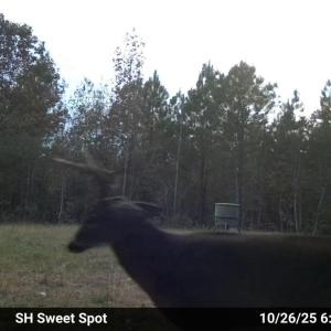 MEd23adc8c30a93e4901a9482d68eaacba