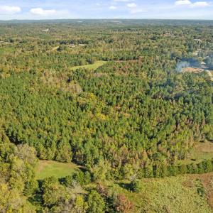 2-web-or-mls-DJI_0938