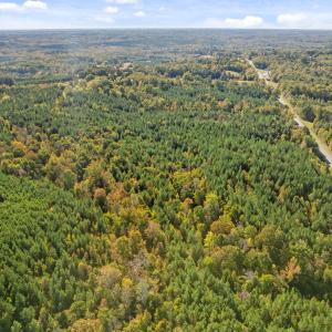 6-web-or-mls-DJI_0942