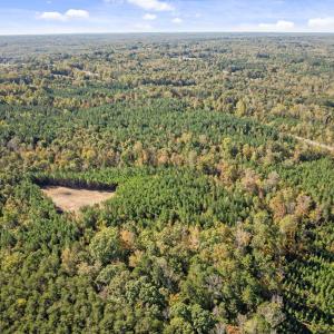 7-web-or-mls-DJI_0943