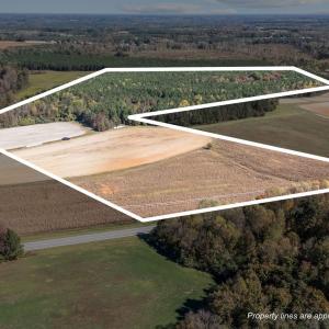 2-web-or-mls-DJI_20251024134609_0342_D_1