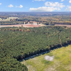 12-web-or-mls-DJI_20251024135249_0351_D