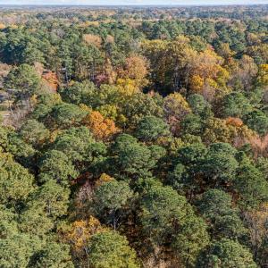 10-web-or-mls-DJI_20251106141541_0622_D