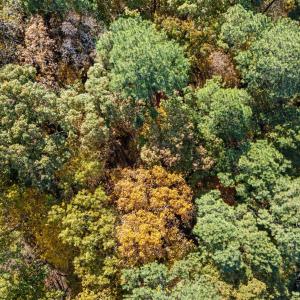 13-web-or-mls-DJI_20251106141747_0625_D