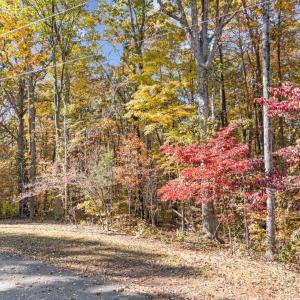 3-web-or-mls-DJI_20251106141128_0615_D