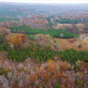 05-DJI_0120
