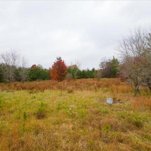 14-DJI_0138