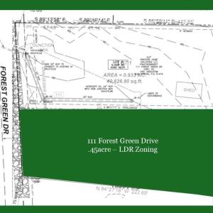 - 111 FOREST GREEN DRIVE LOT LISTING MAI