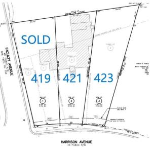 Page Park - 421 S. Harrison Ave - Survey