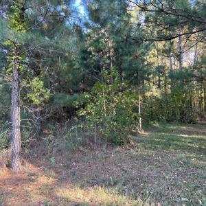 11_photo--rock-spring-church-road