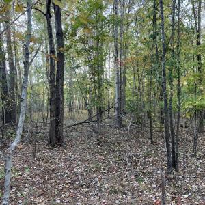 12_photo--rock-spring-church-road