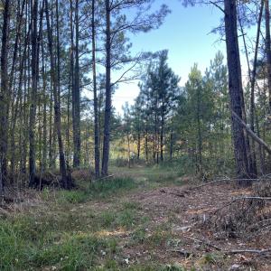 13_photo--rock-spring-church-road