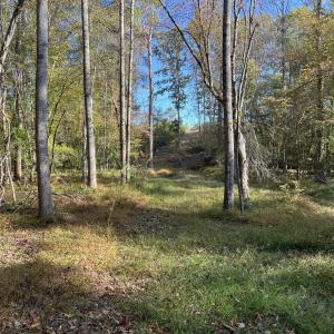 14_photo--rock-spring-church-road