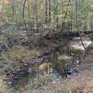 15_photo--rock-spring-church-road