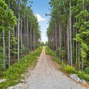 1-web-or-mls-007_DJI_20250915095449_0062