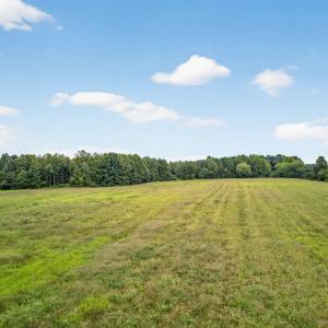 14-web-or-mls-008_DJI_20250915095601_006