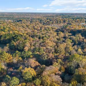 5-9705 Lake Wheeler - Drone_ (5)