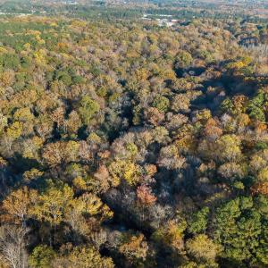 4-9705 Lake Wheeler - Drone_ (2)