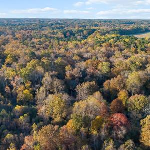 6-9705 Lake Wheeler - Drone_ (6)