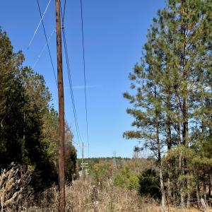 Hamlin Rd. - Electric