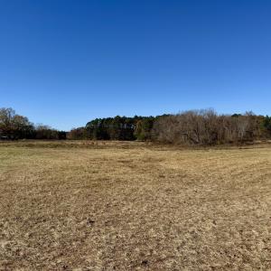 Hamlin Rd. - Field 2