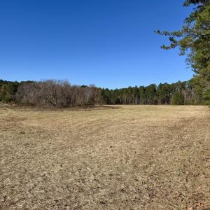 Hamlin Rd. - Field