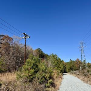 Hamlin Rd. - Electric Lines