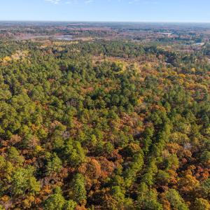 10-web-or-mls-DJI_20251105100248_0829_D