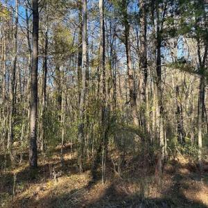 999 White Cross Rd - Photo 4