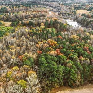 5-Old-Hwy-64-Spring-Hope-13