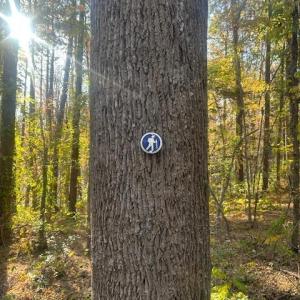 Hiking Trail to Haw River