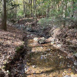 creek on rear border