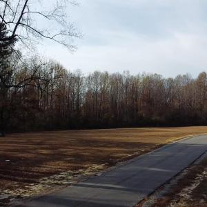 2025-11-15-14-14-36-628