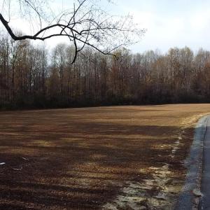 2025-11-15-14-14-25-747