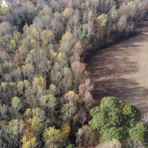 2025-11-15-14-13-16-509