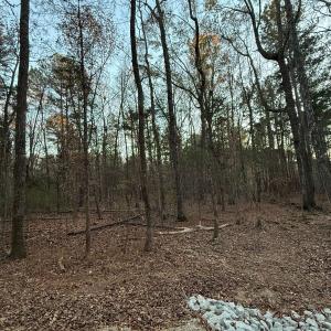 8fb0a8e7-0e22-4fa2-b6f1-ad92b1bbfb30