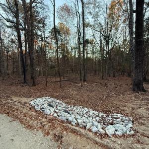 c2105447-8ec3-4424-9495-e768c6eb343c