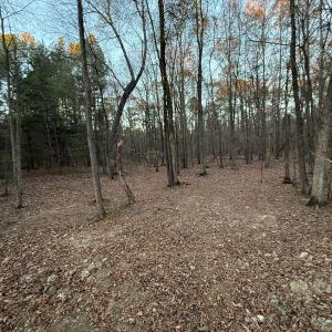 7c8f875d-adc2-4485-bd37-d4117db5b980