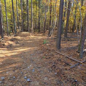 Lot 1 - Northern Trail