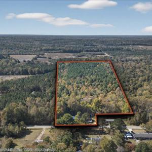 02-036_DJI_20251018135800_0804_DPL